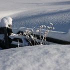 Zaun im Schnee