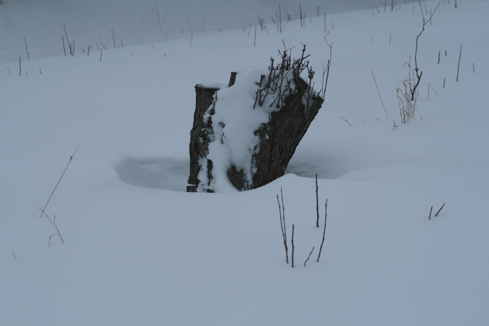 Zaun im Schnee