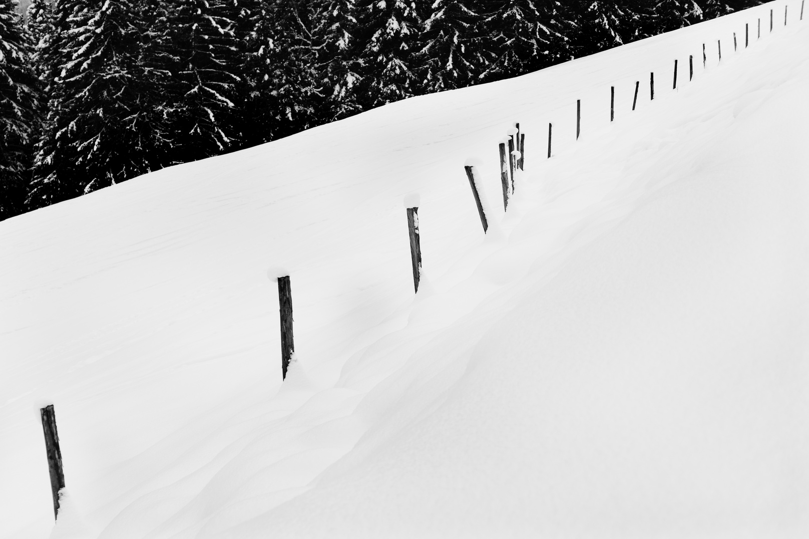 Zaun im Schnee