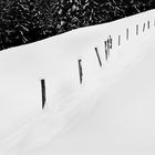 Zaun im Schnee
