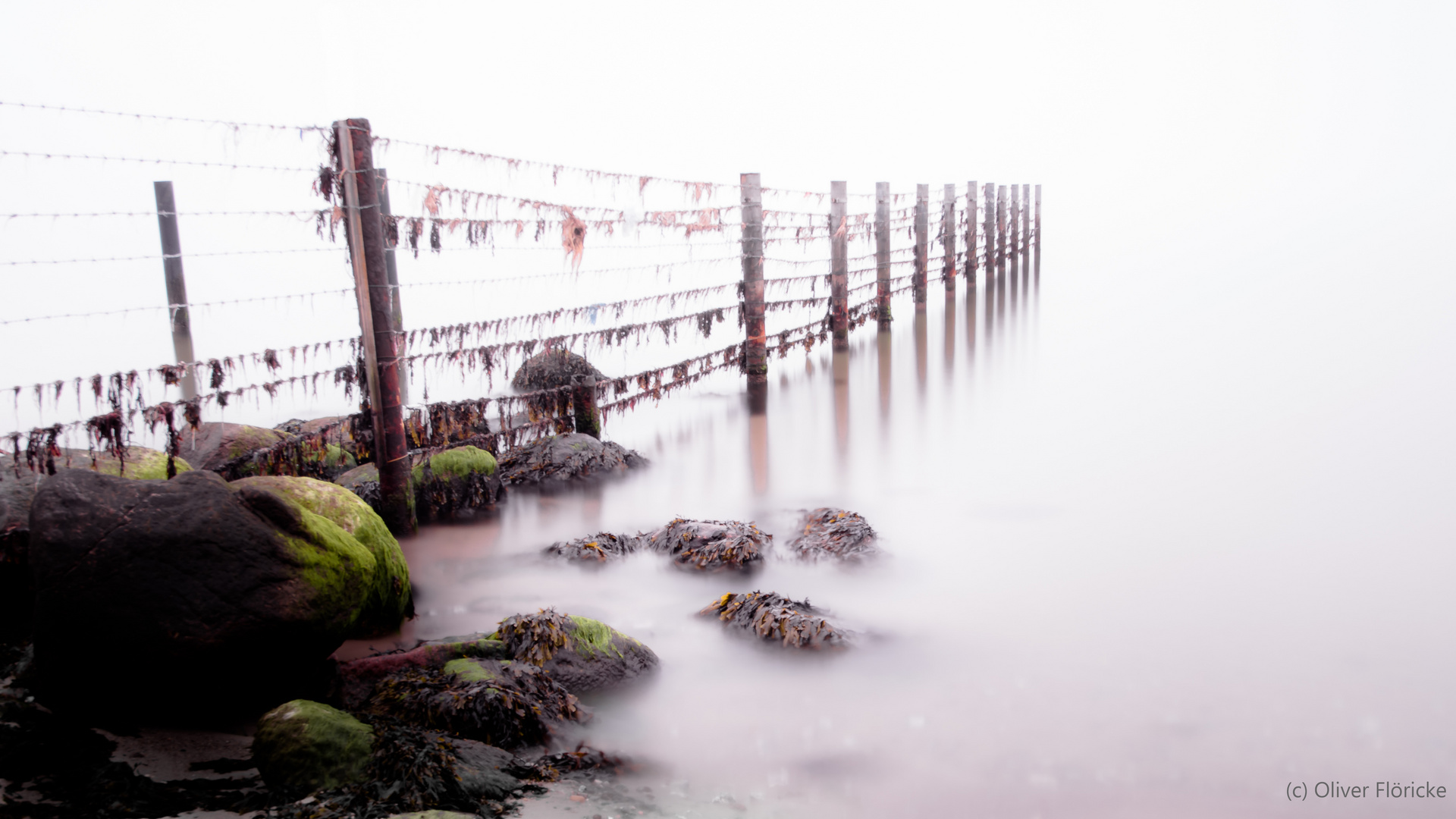 Zaun im Wasser