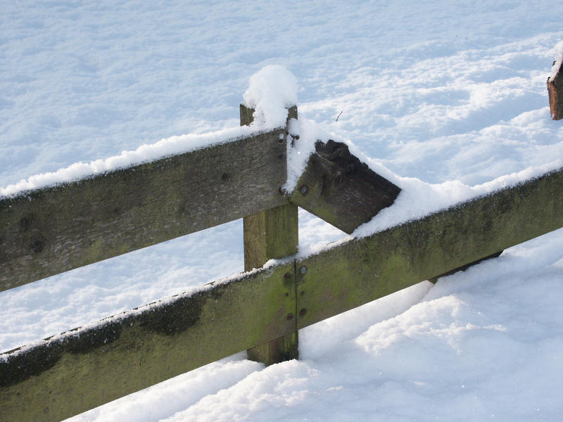 Zaun im Winter