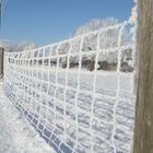 Zaun im Winter