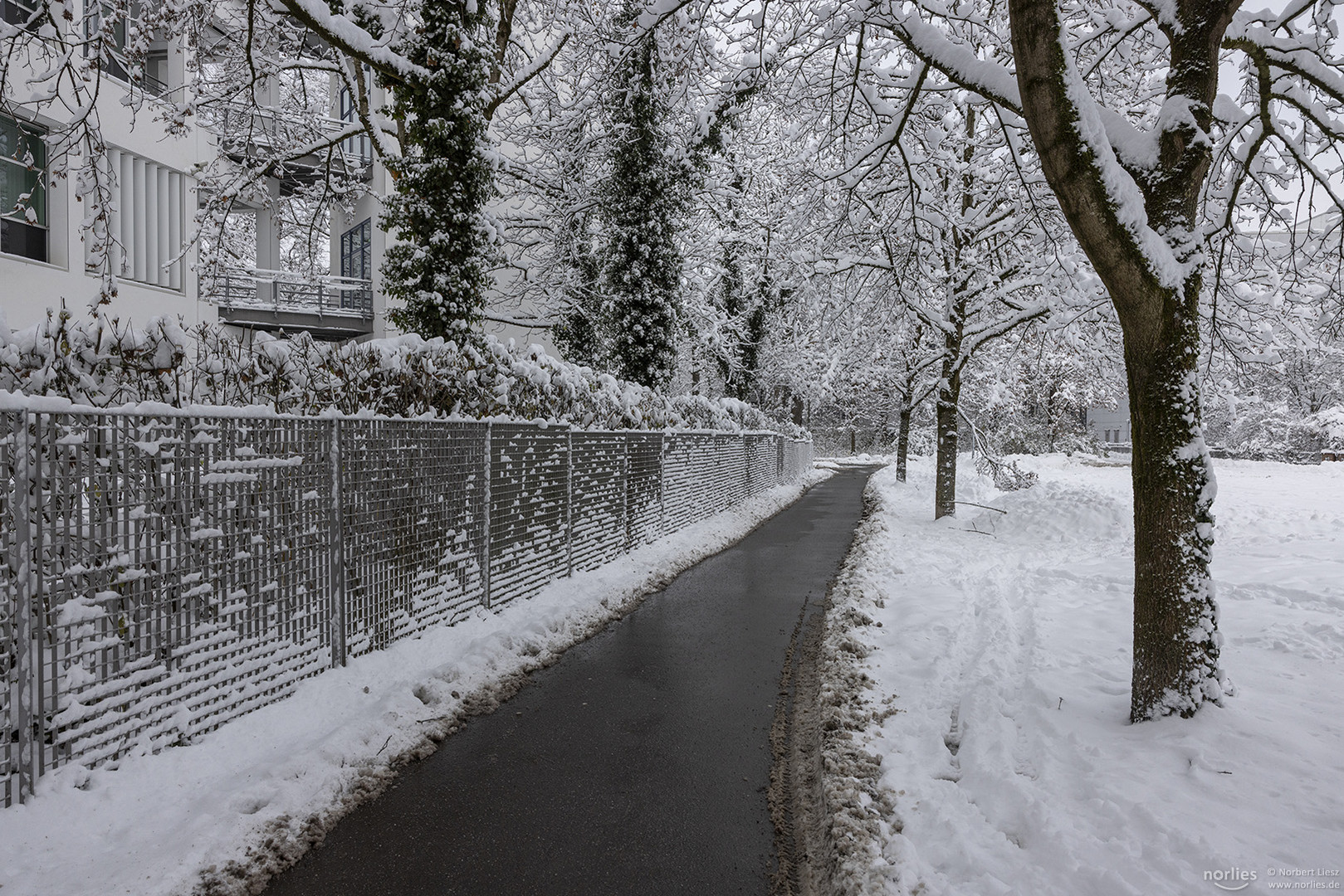 Zaun im Winter