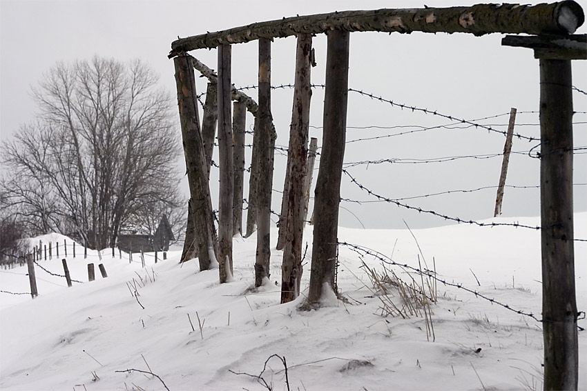 Zaun im Winter