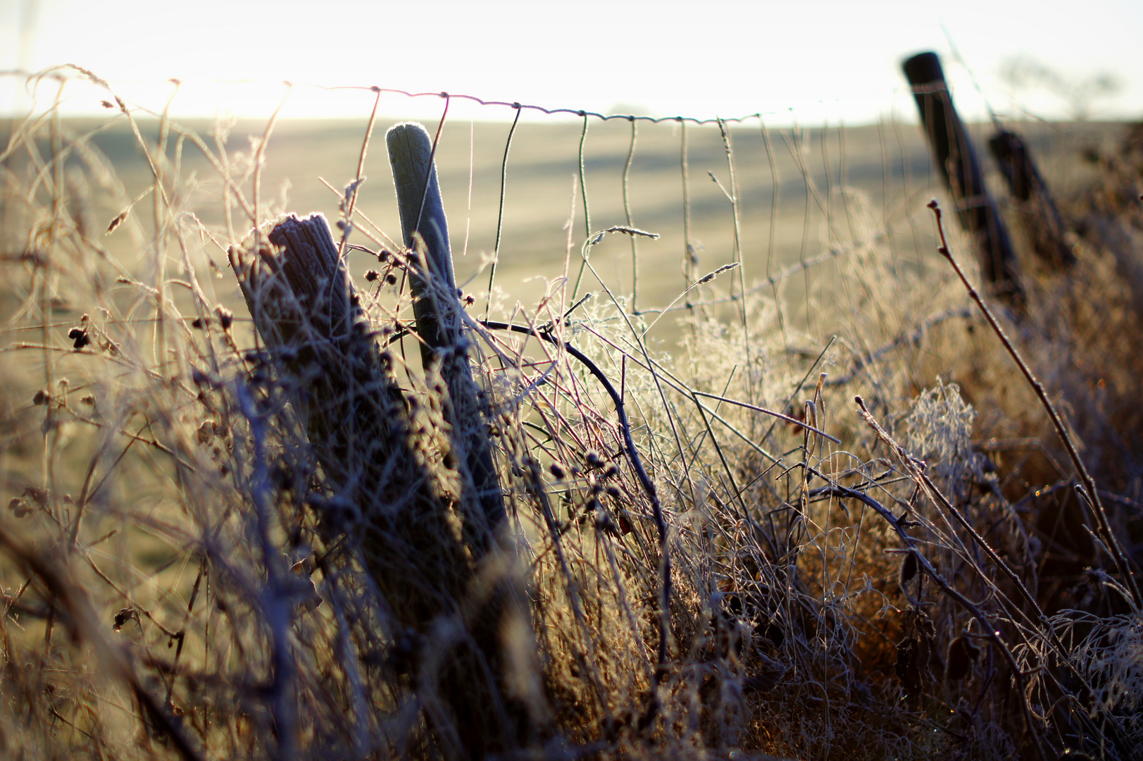 Zaun im Winter