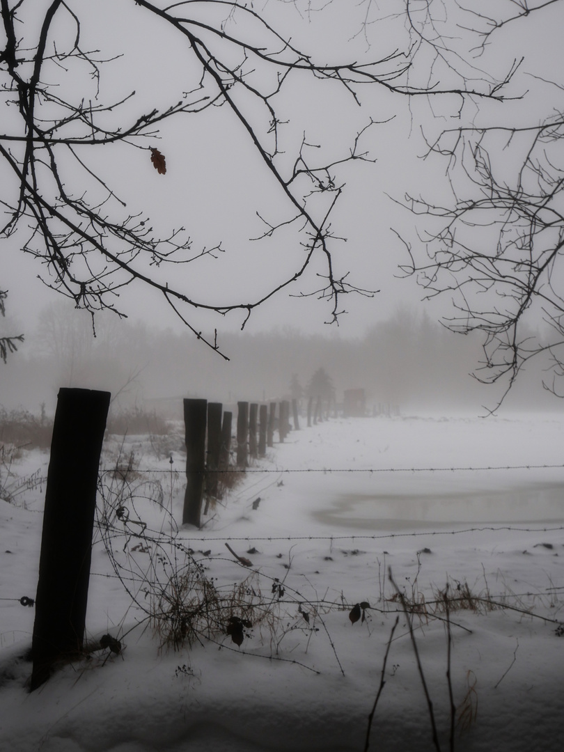 Zaun im Winternebel