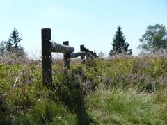 Zaun in der Landschaft