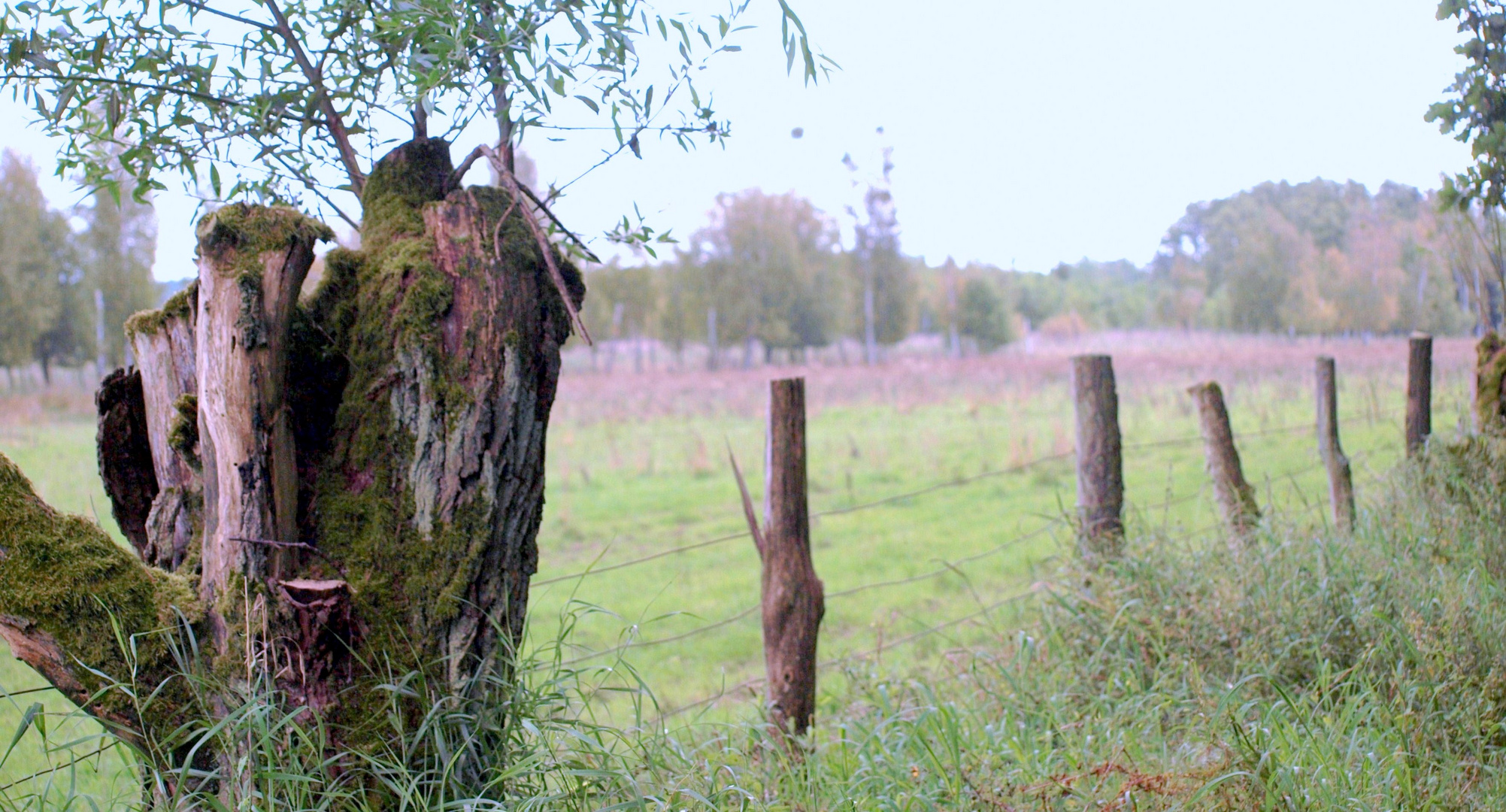 Zaun in der Landschaft