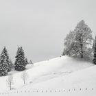 Zaun in Unterjoch