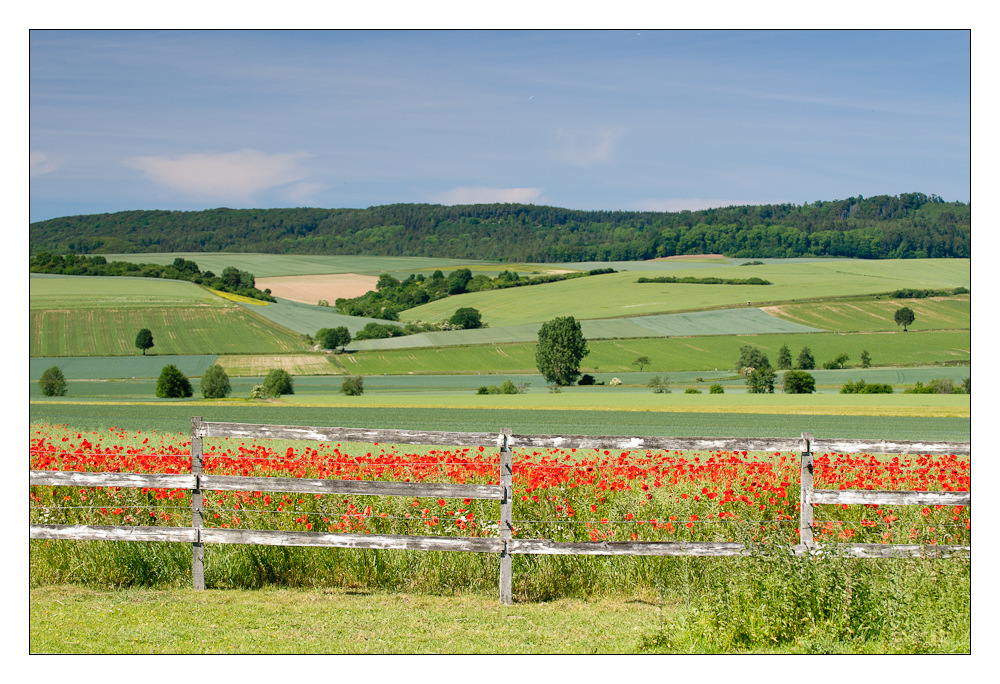 Zaun, Mohn, Weserbergland