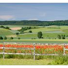 Zaun, Mohn, Weserbergland