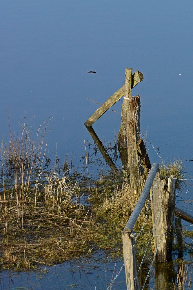 Zaun-Spiegelung bei Überflutung