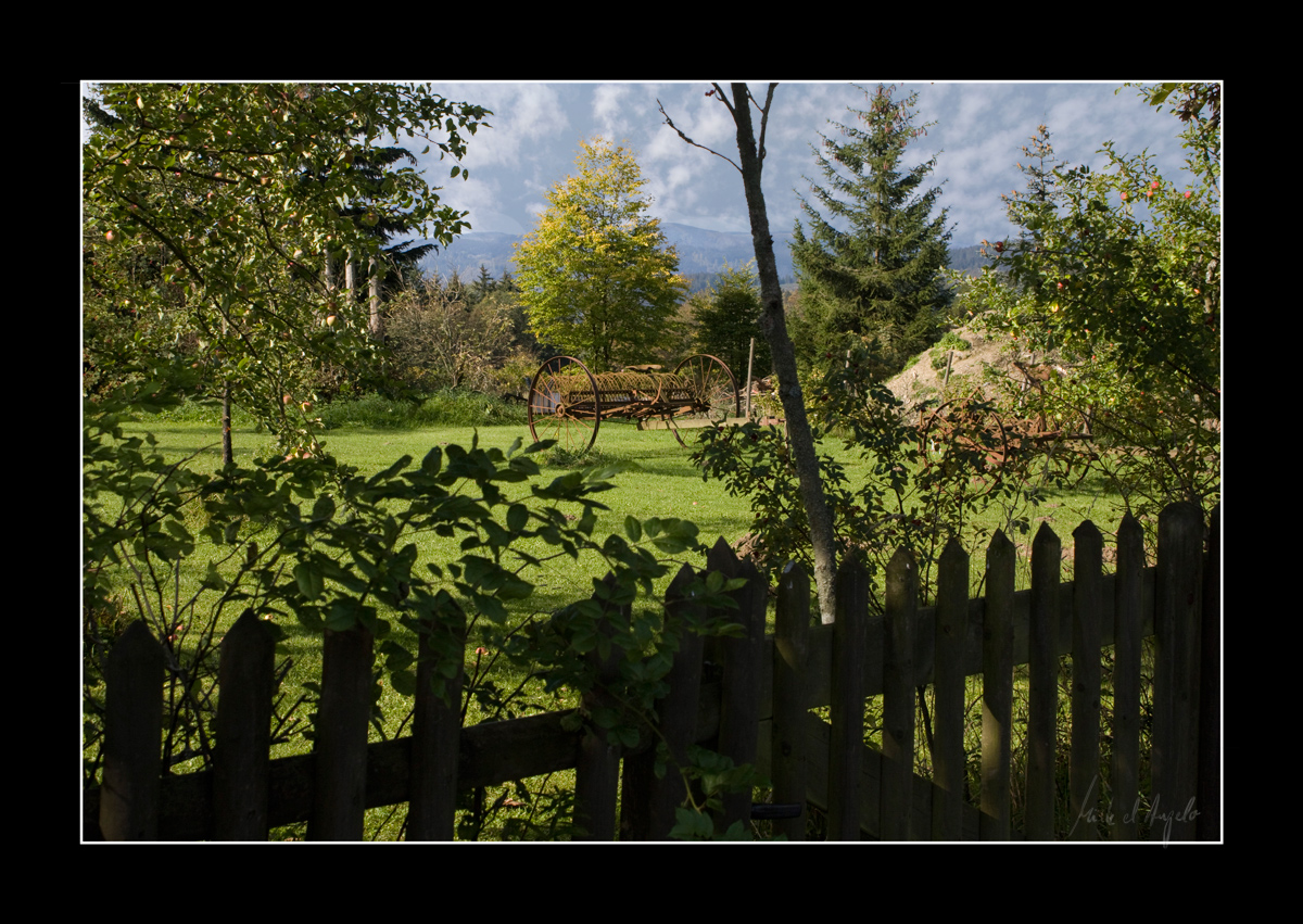 Zaunblick (Sittin' On A Fence)