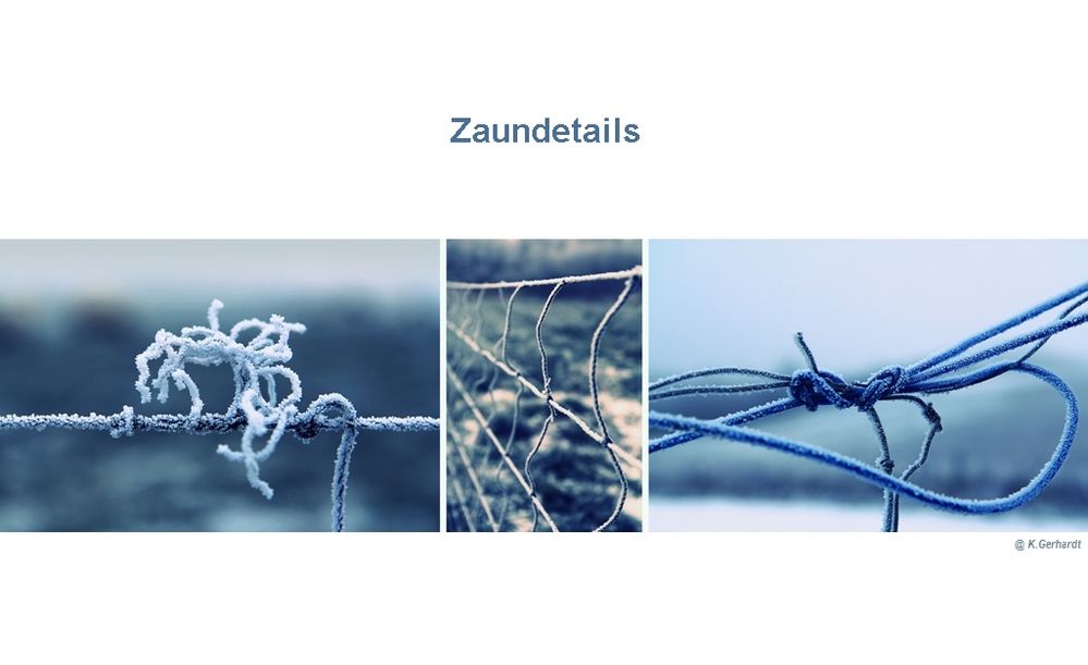 Zaundetails