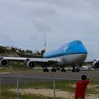 Zaungäste in St.Maarten N.A.