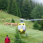 Zaungäste sind vom tollen Flieger begeistert