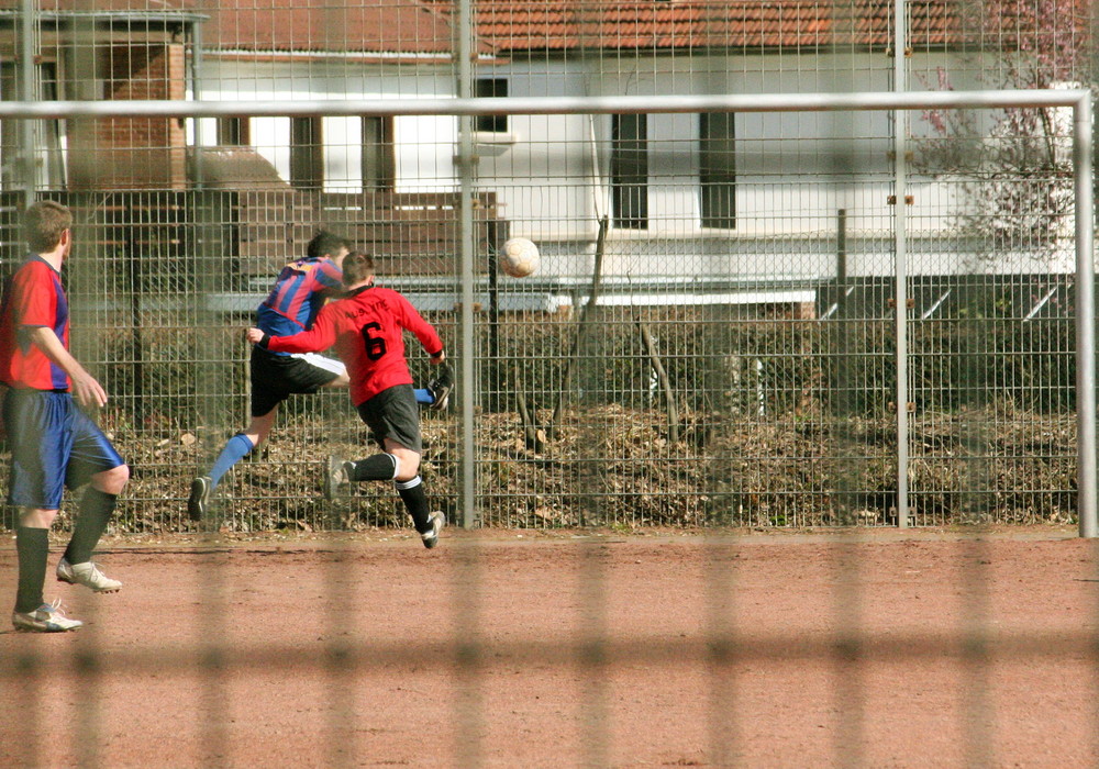 Zaungast (Der Ball war nicht drin)