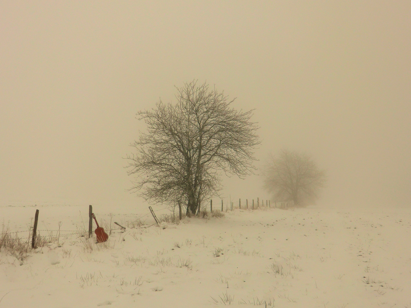 Zaungast im Nebel