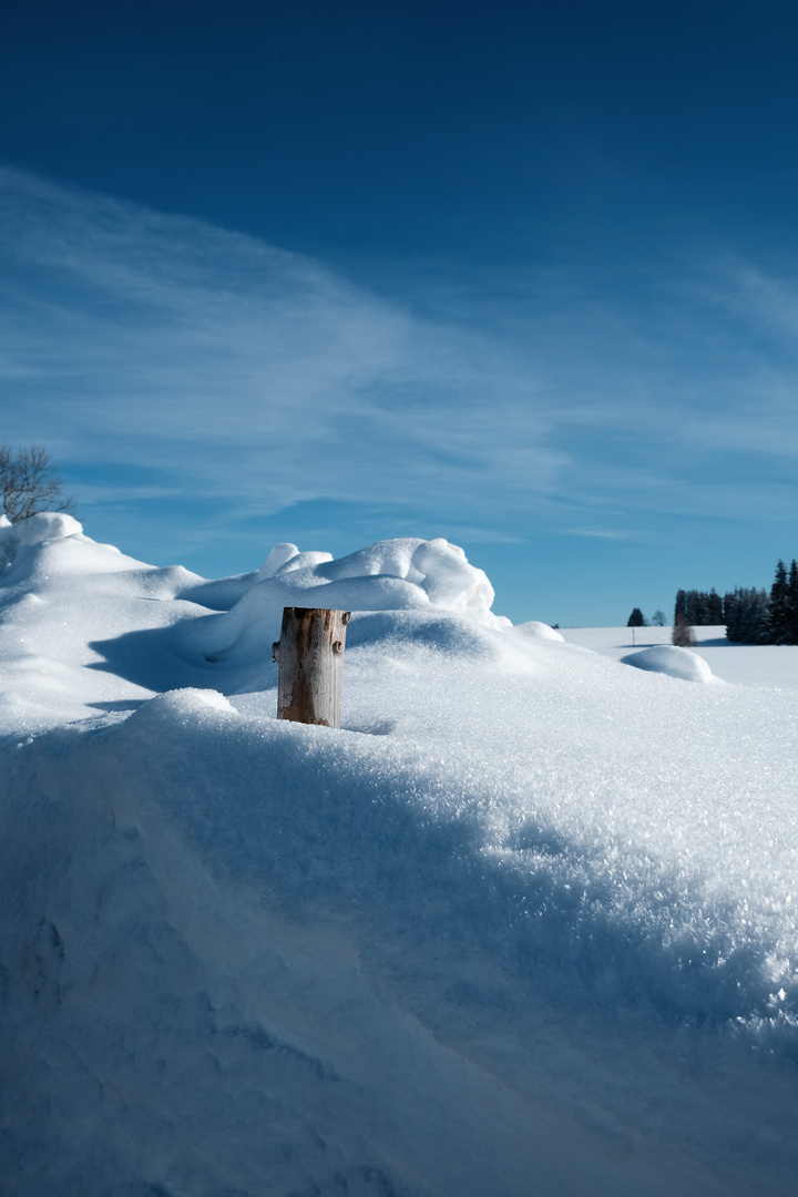 Zaunpfahl / Fence-Stake