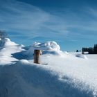 Zaunpfahl / Fence-Stake