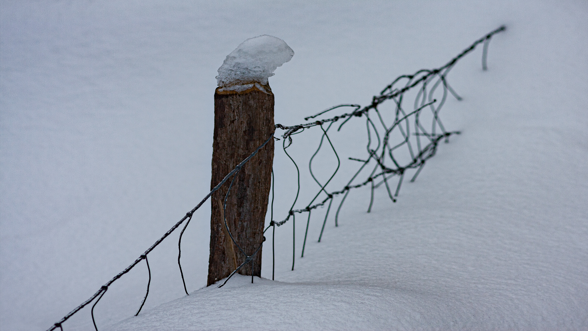 Zaunpfahl mit Hut