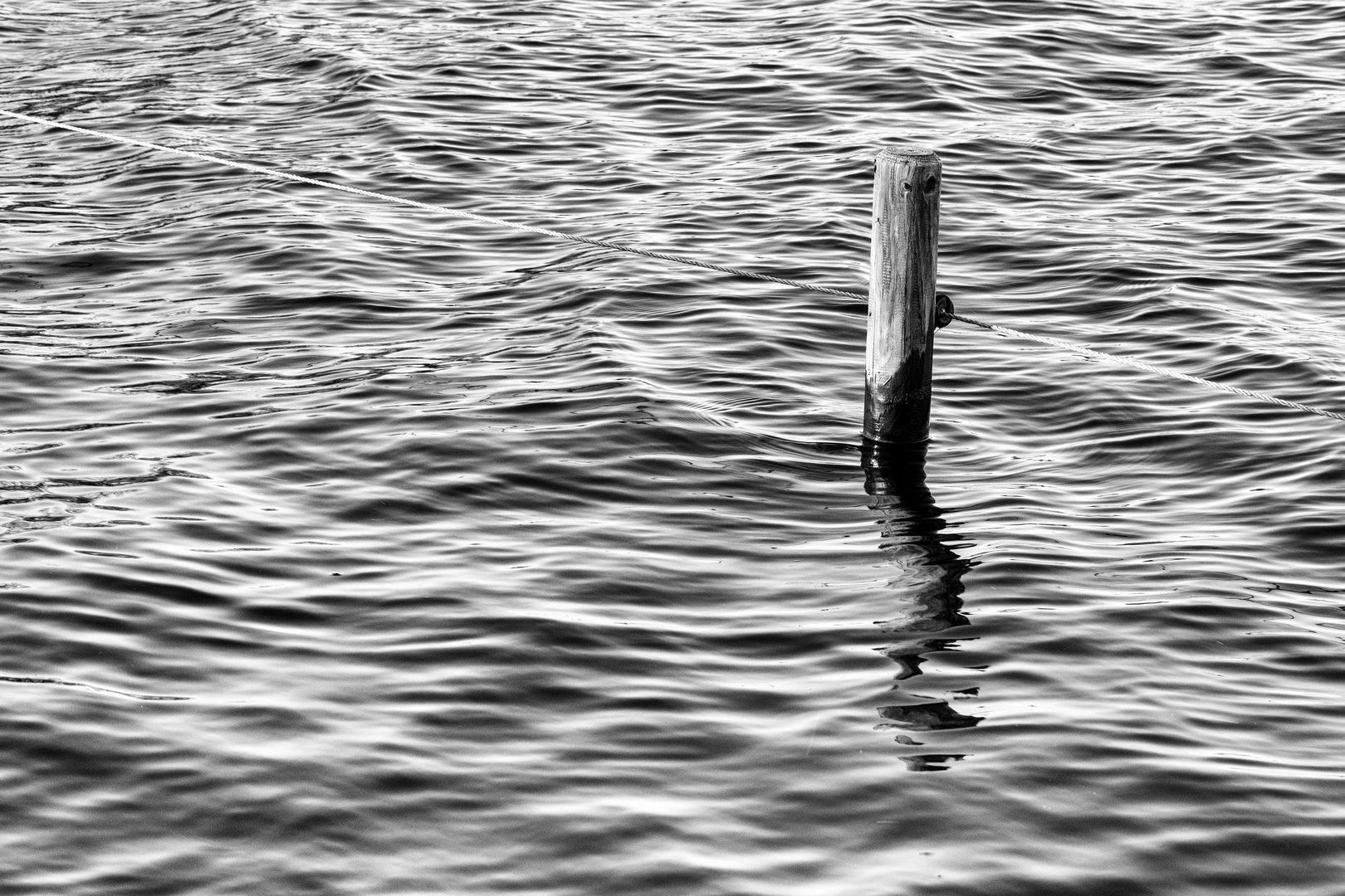 Zaunpfosten im Hochwasser sw