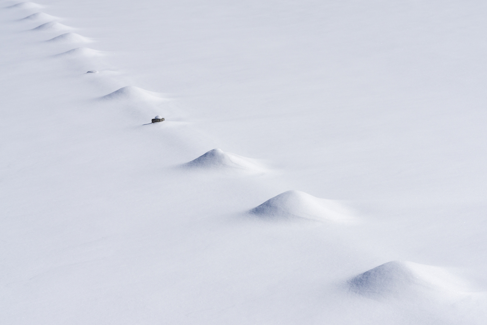 Zaunpfosten im Schnee