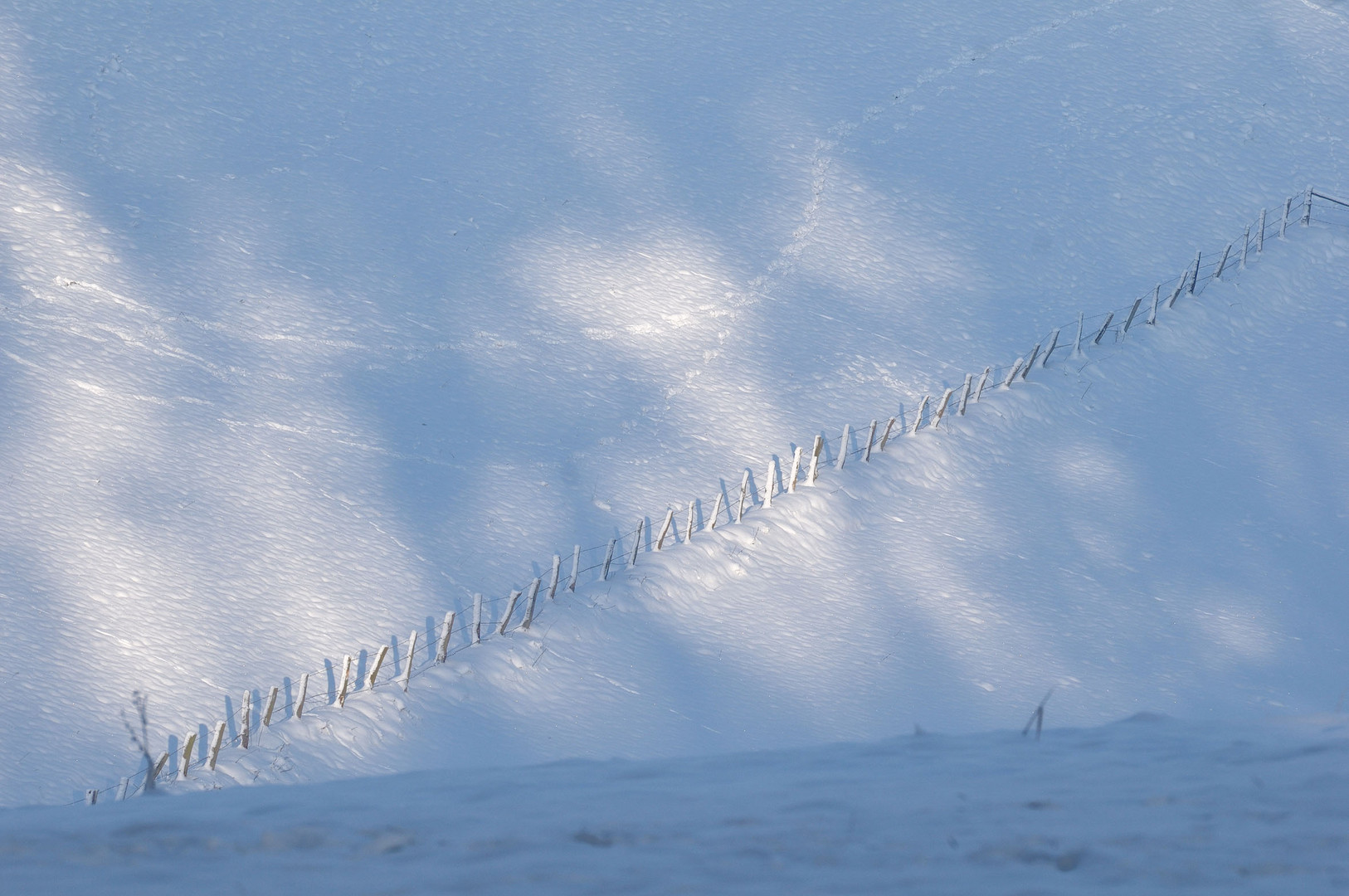 Zaunschatten -Schattenzaun