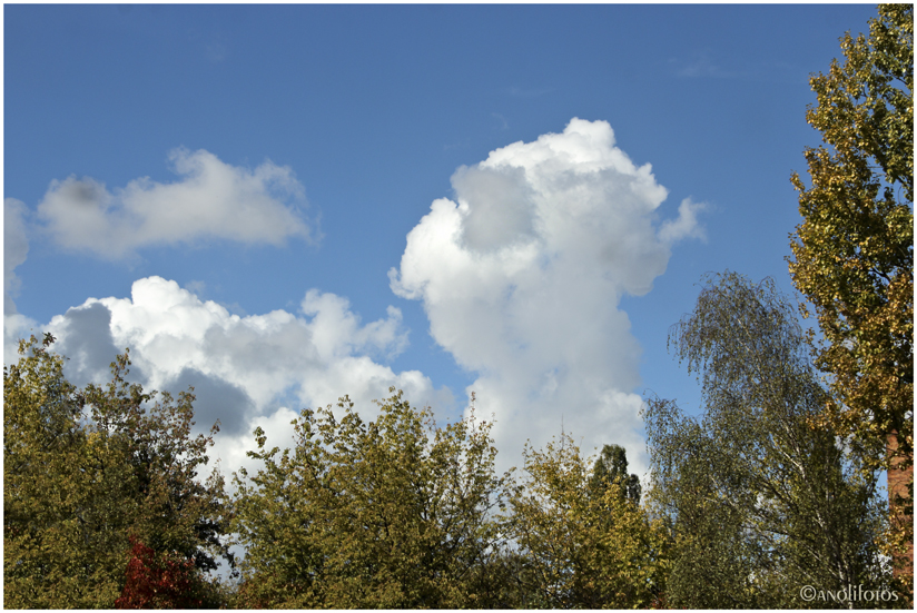 Zausel, der Wolkengeist