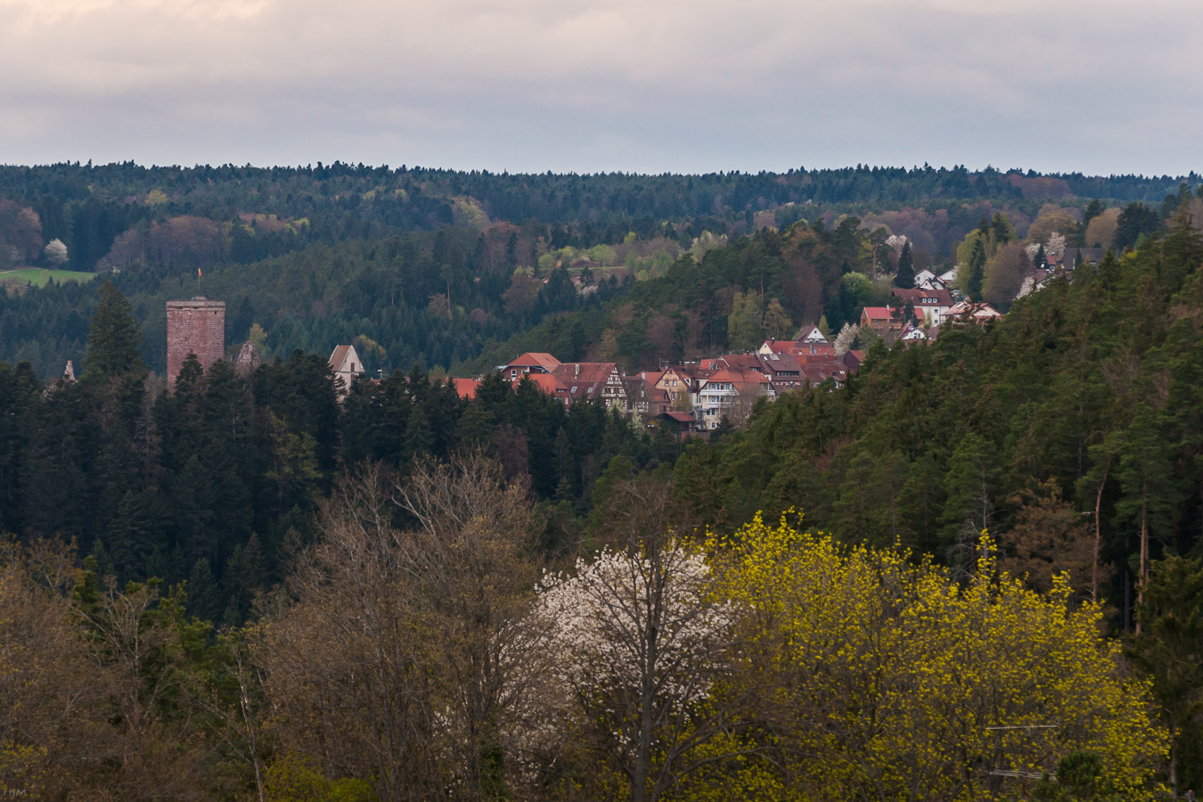 Zavelstein im Frühling