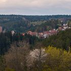 Zavelstein im Frühling