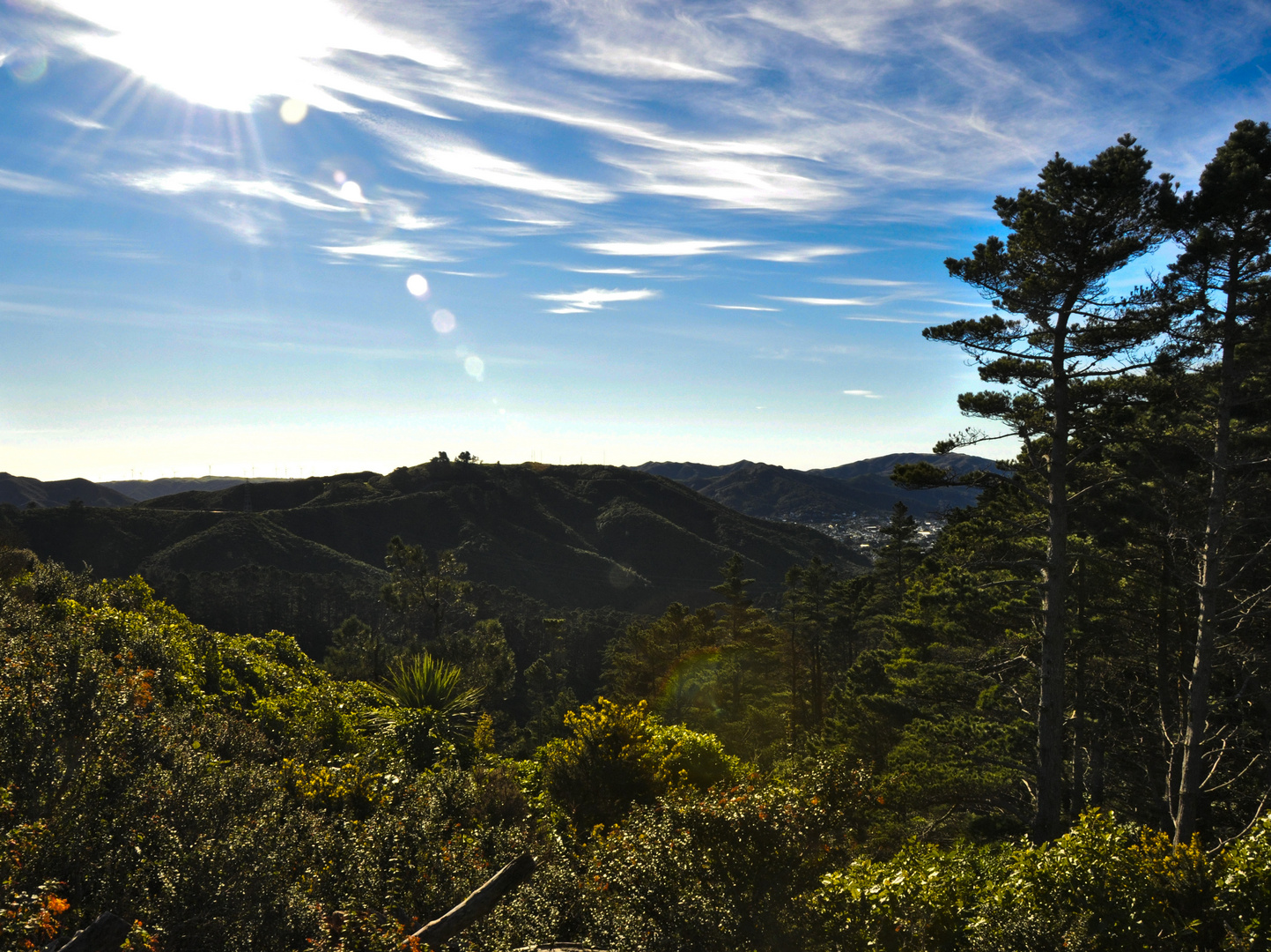 Zealandia - Wellington, Neuseeland