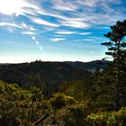 Zealandia - Wellington, Neuseeland