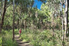 Zebedee Gorge