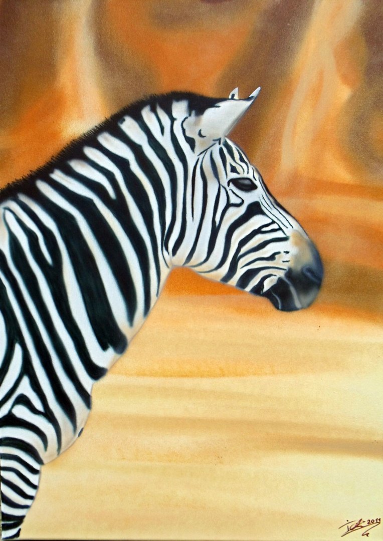 Zebra