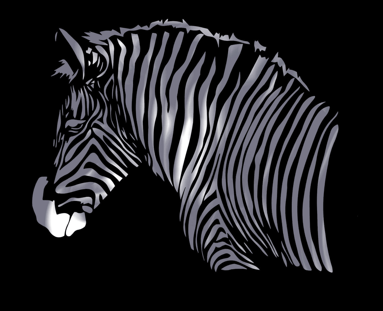 Zebra ?