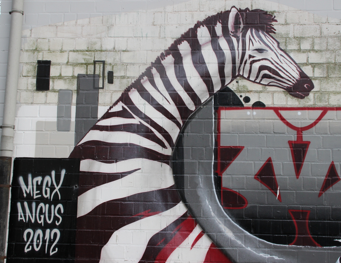 Zebra an der Wand