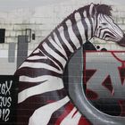 Zebra an der Wand