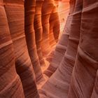 Zebra Canyon, Grand Staircase Escalante NM