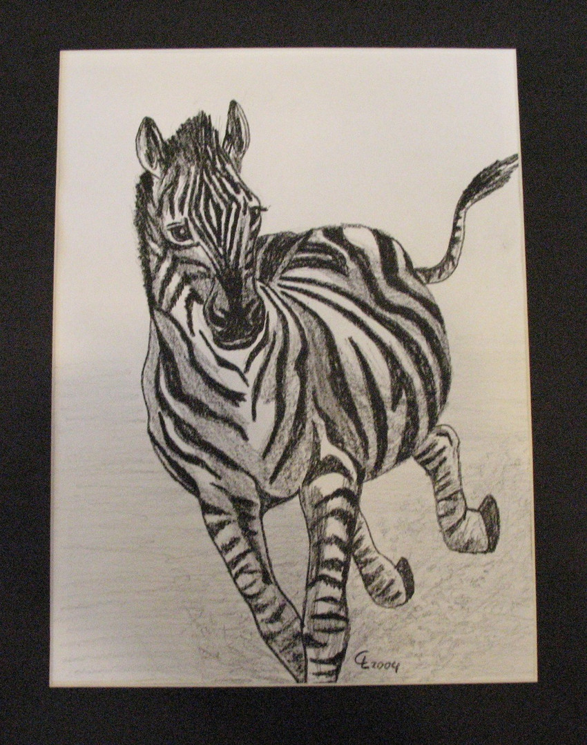 Zebra