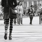 Zebra Crossing