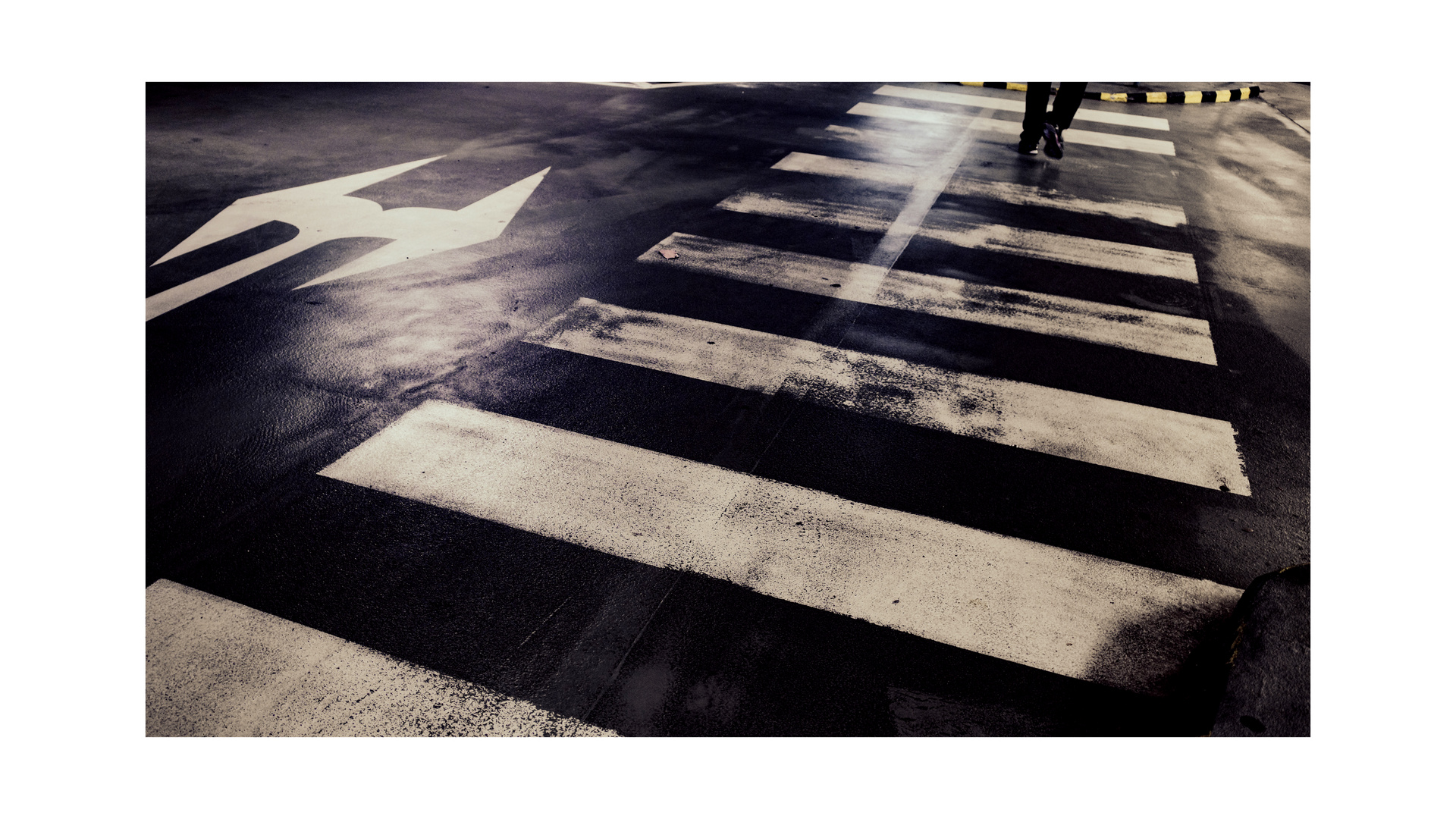 zebra crossing_01
