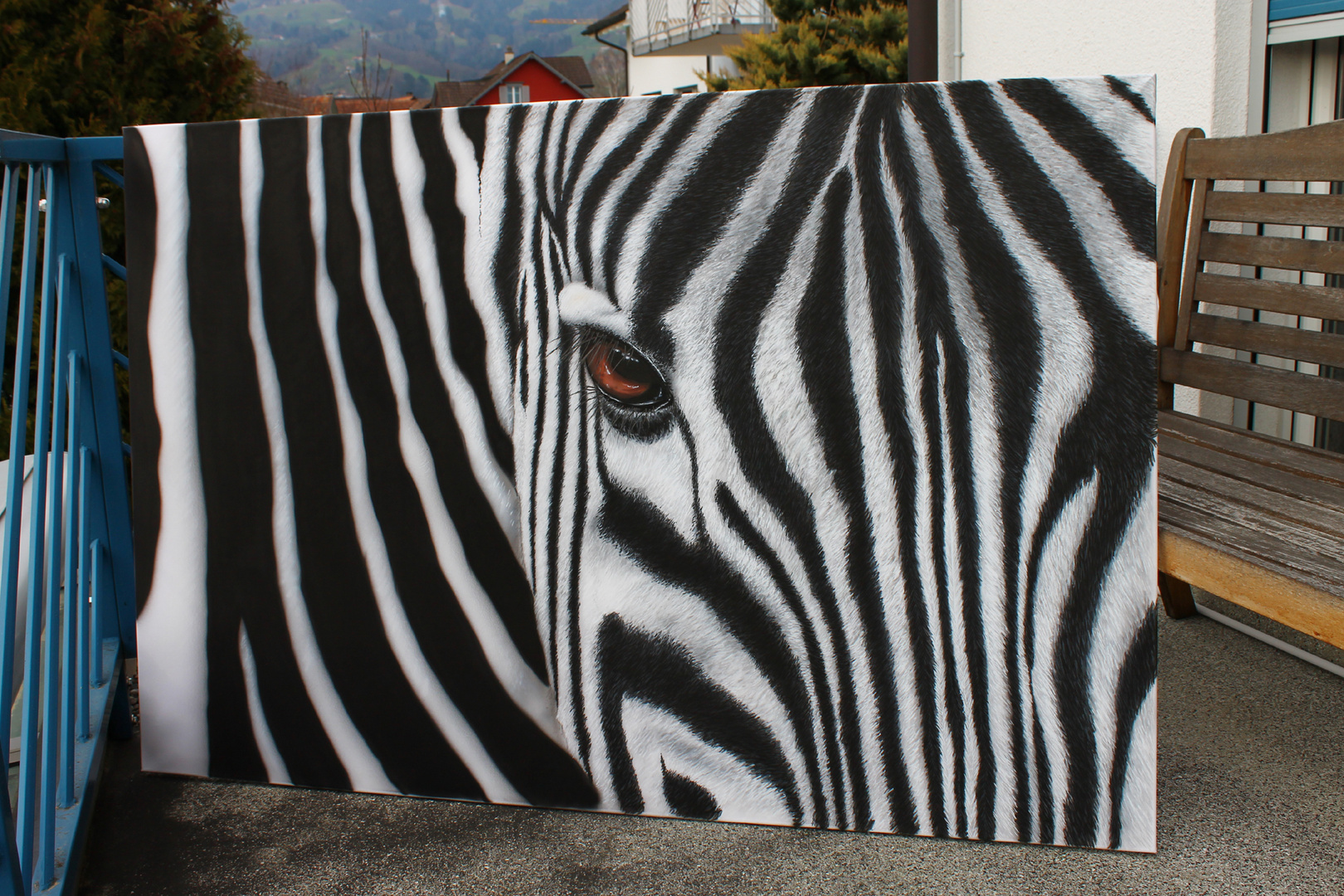 . . . . Zebra . . . .