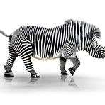 Zebra-Horn