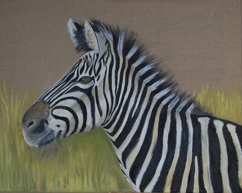 Zebra in Öl und ein wenig Pastell