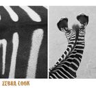 Zebra Look
