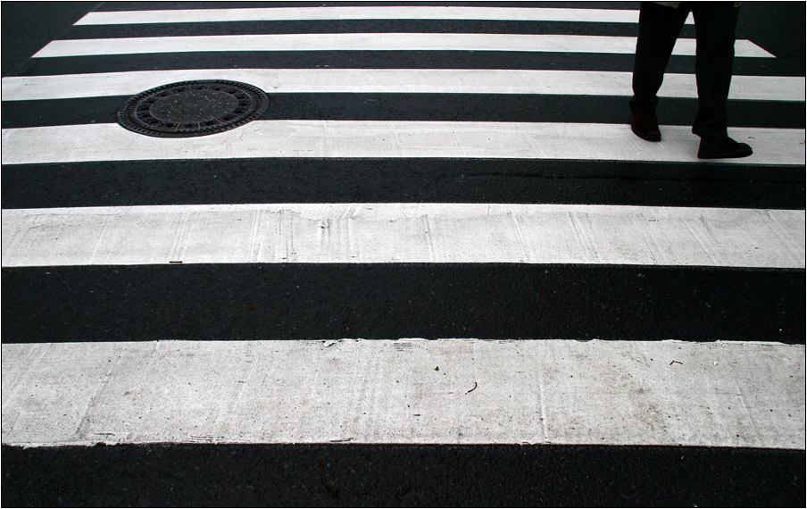 zebra... oder auch streetfotografie-workshop ;-)