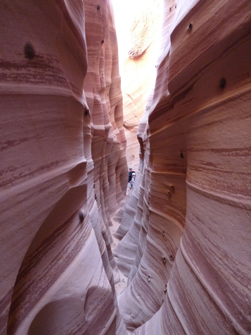 Zebra Slot Canyon, Escalante, Utah