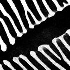 Zebra-Streifen...